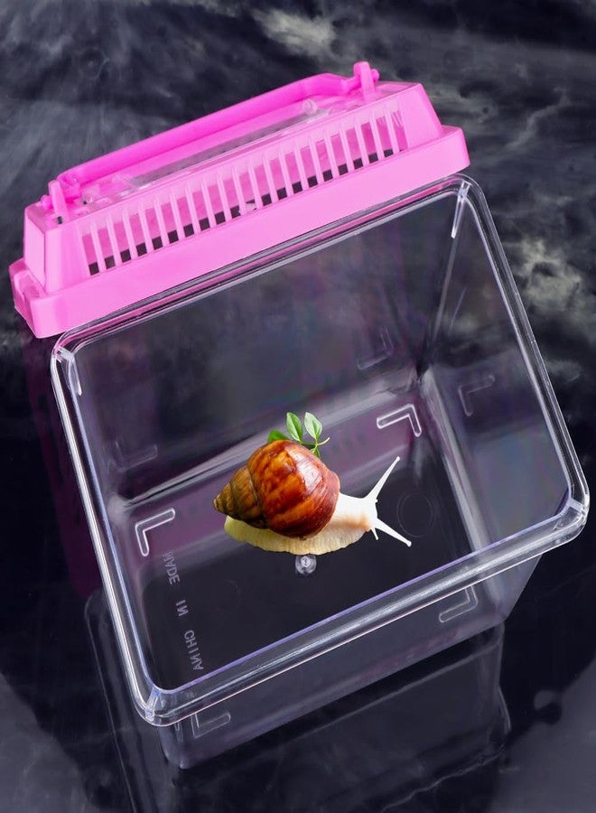 DQITJ 20 Pack Small Plastic Reptile Carrier Tarantula Enclosure Snake Breeding Box Hatching Container for Spider Fish Turtle Hermit Crab Bearded Dragon Lizard (5.1 x 3.5 x 3.5 Inch) - Image 5
